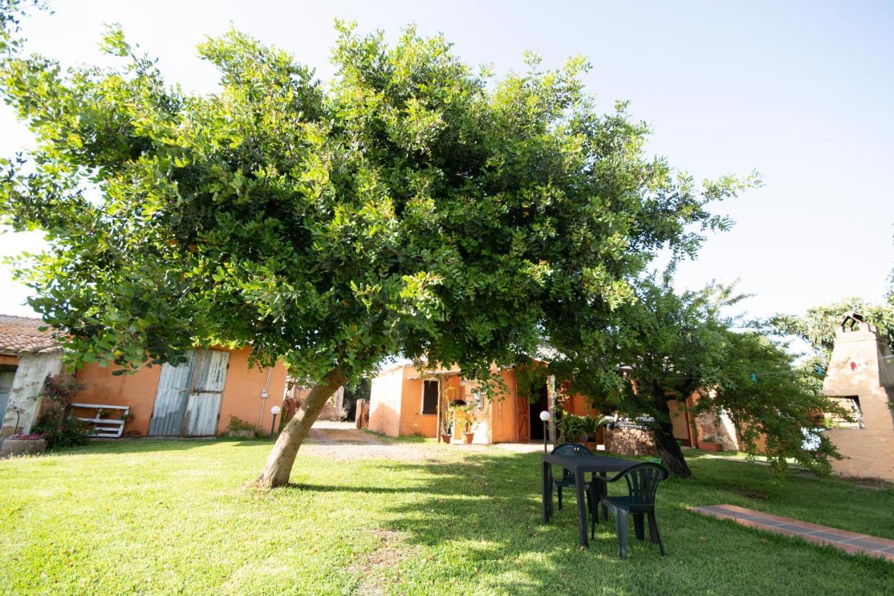 Is Cuccus Acomodação com café da manhã Masainas Exterior foto