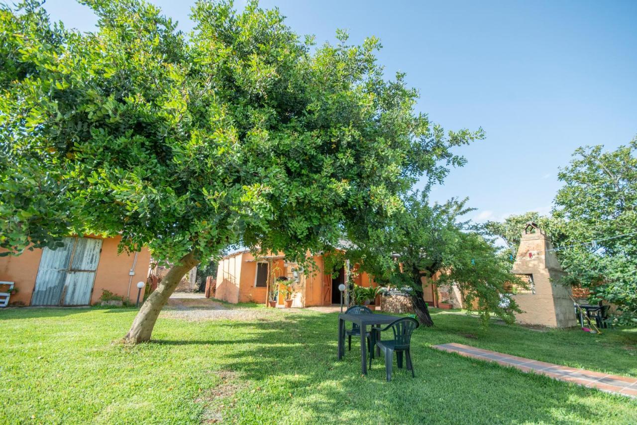 Is Cuccus Acomodação com café da manhã Masainas Exterior foto