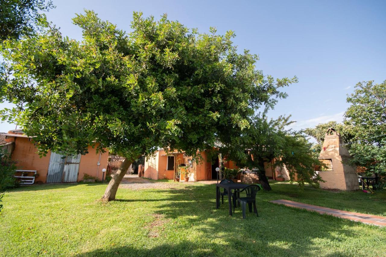 Is Cuccus Acomodação com café da manhã Masainas Exterior foto