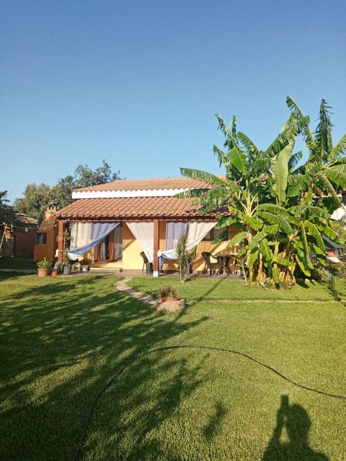 Is Cuccus Acomodação com café da manhã Masainas Exterior foto
